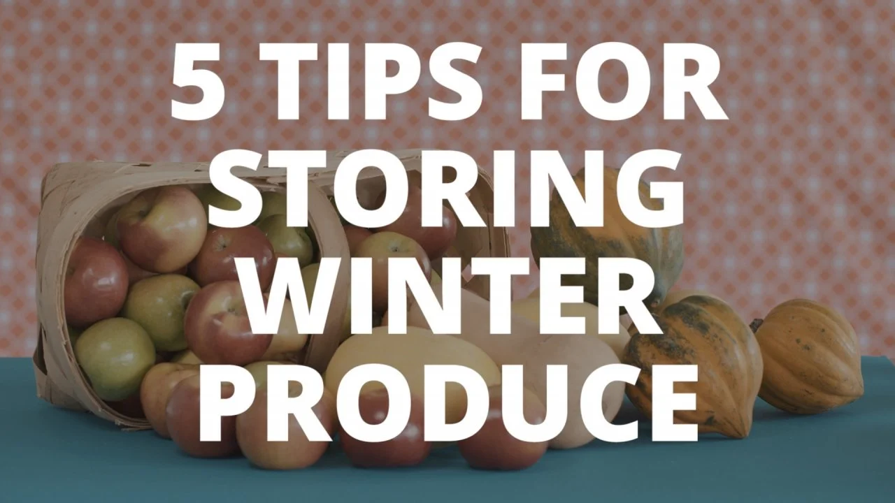 5 Ways to Store Winter Produce