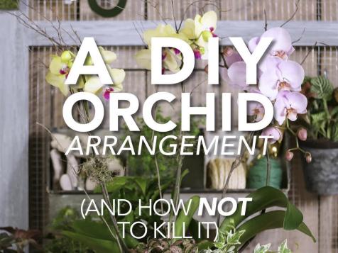 DIY Orchid Arrangement