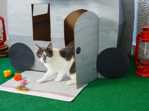 DIY Cat Airstream
