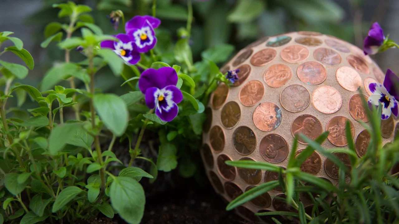 DIY Slug-Repellent Penny Ball
