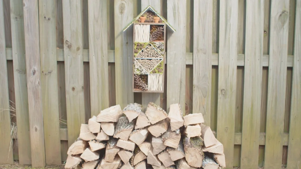 How to Make a Bug Hotel