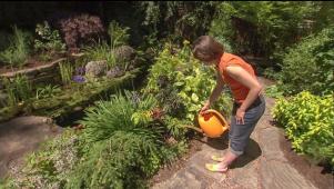 Gardening by the Yard Featured Episodes - Season 19 | Gardening by the
