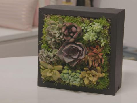 Linda's Succulent Box