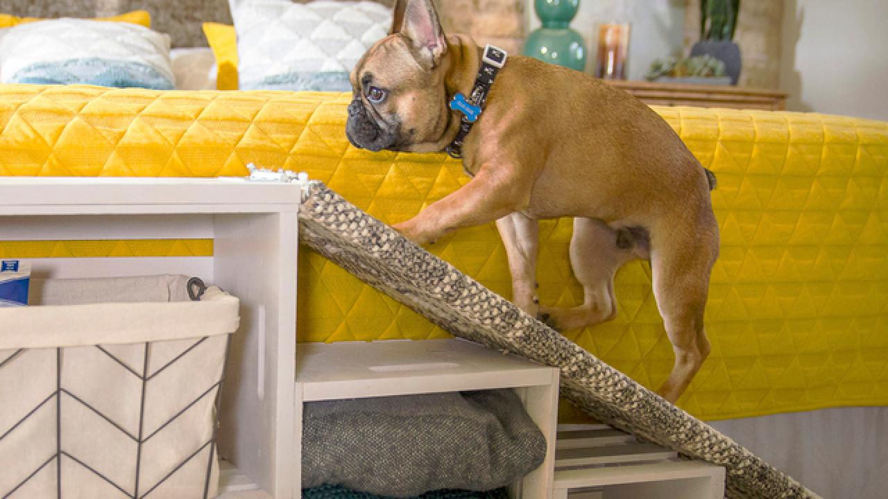 are ramps or stairs better for dogs