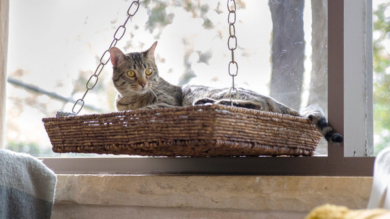 DIY Cat Window Bed