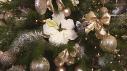 Monochromatic Christmas Tree