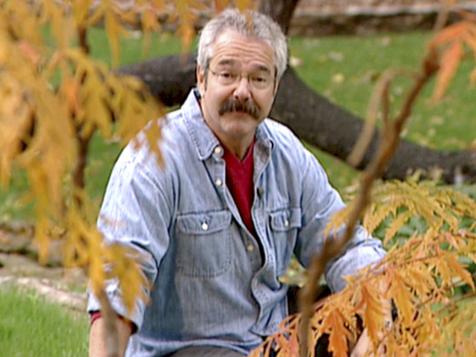 Fall and Winter Lawn Care