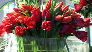 Very Romantic V-Day Flowers