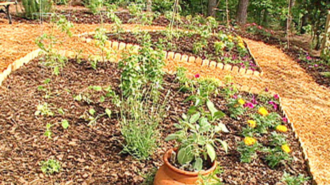 Kid Vegetable Garden and Arbor