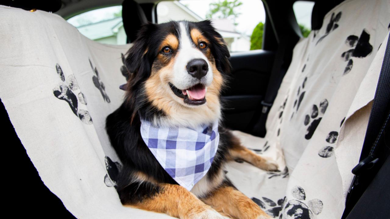 DIY Washable Dog Car Seat Cover