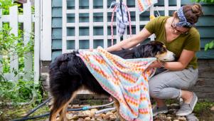 DIY Outdoor Doggie Shower