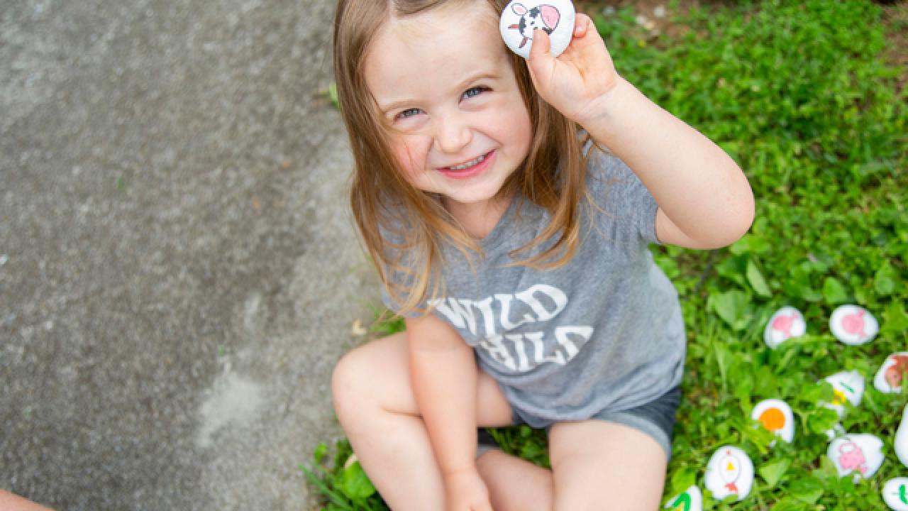 DIY Farm-Themed Story Rocks