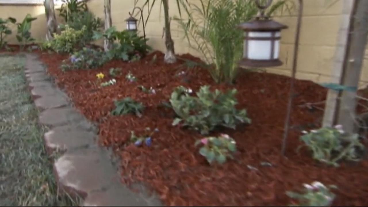 Reviving a Garden