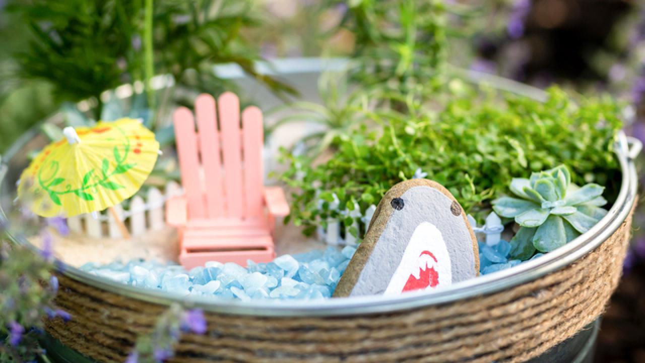 Shark Beach Planter