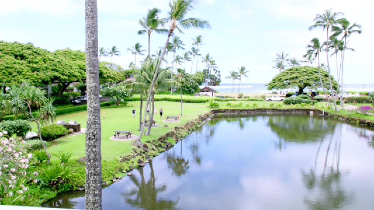 Dreams of Kauai