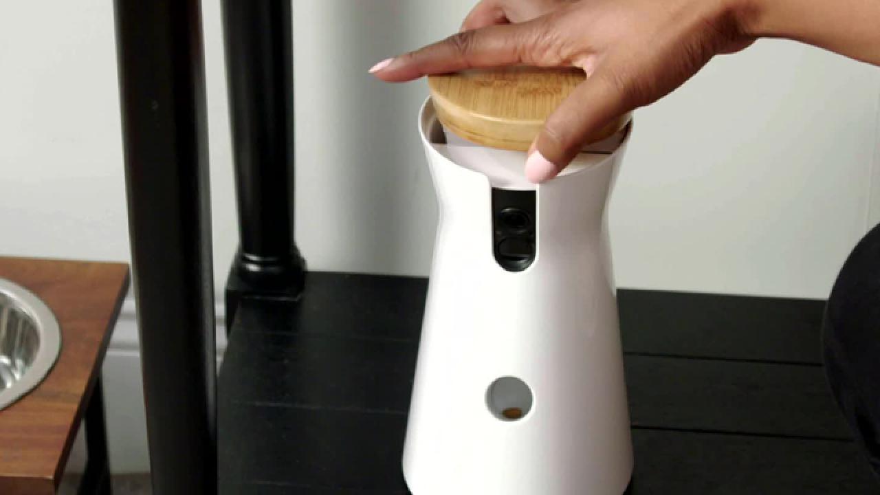 Best-Selling Dog Camera and Treat Dispenser
