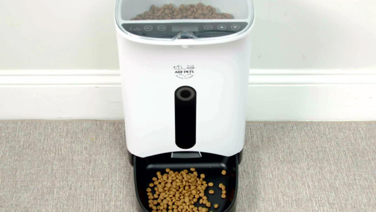 This Automatic Pet Feeder Will Make Your Life Easier