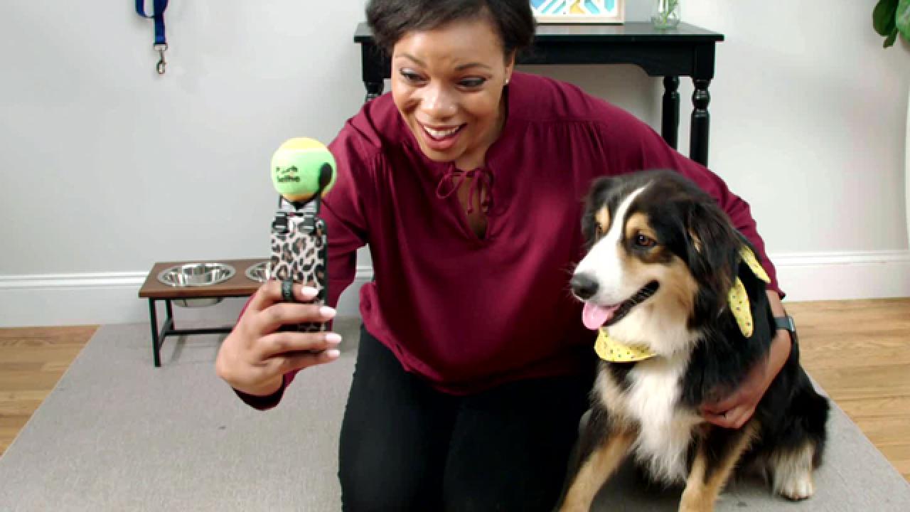 Pooch Selfie Helps You Take Better Selfies With Your Pet