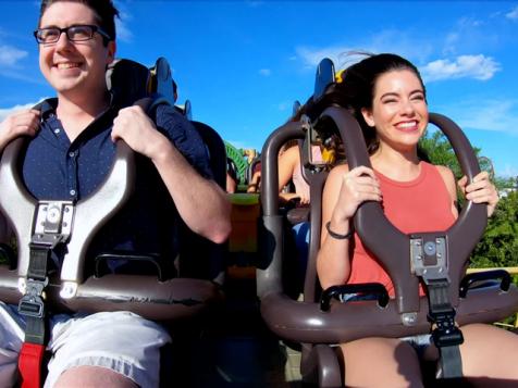 Cheetah Hunt