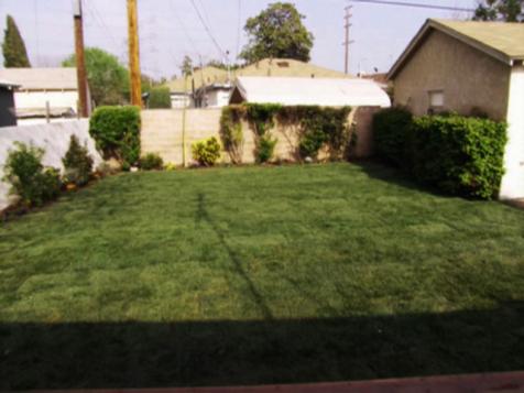 A Yard Becomes a Lawn