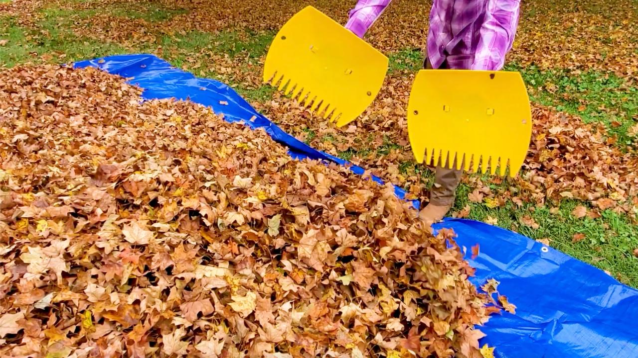 4 Tools for Keeping a Leaf-Free Lawn
