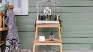Upcycled Birdcage Succulent Planter