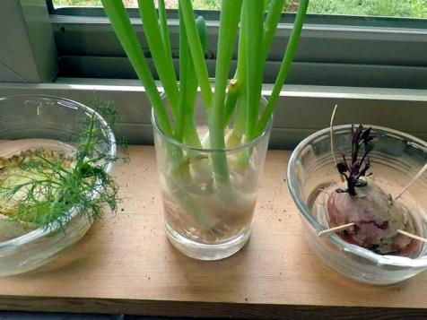 How to Regrow Vegetables From Kitchen Scraps