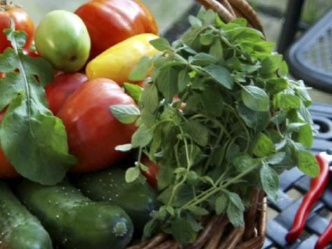 How to Grow Tomatoes