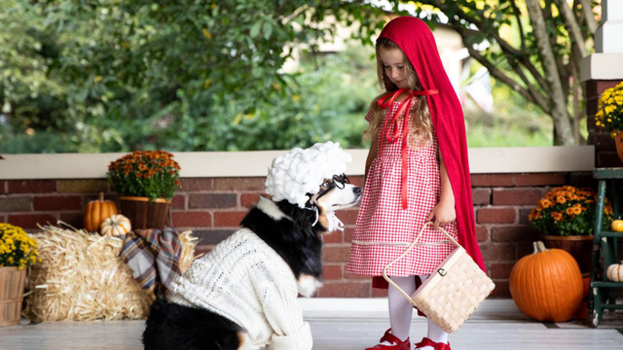 Halloween Costume for Child and Dog