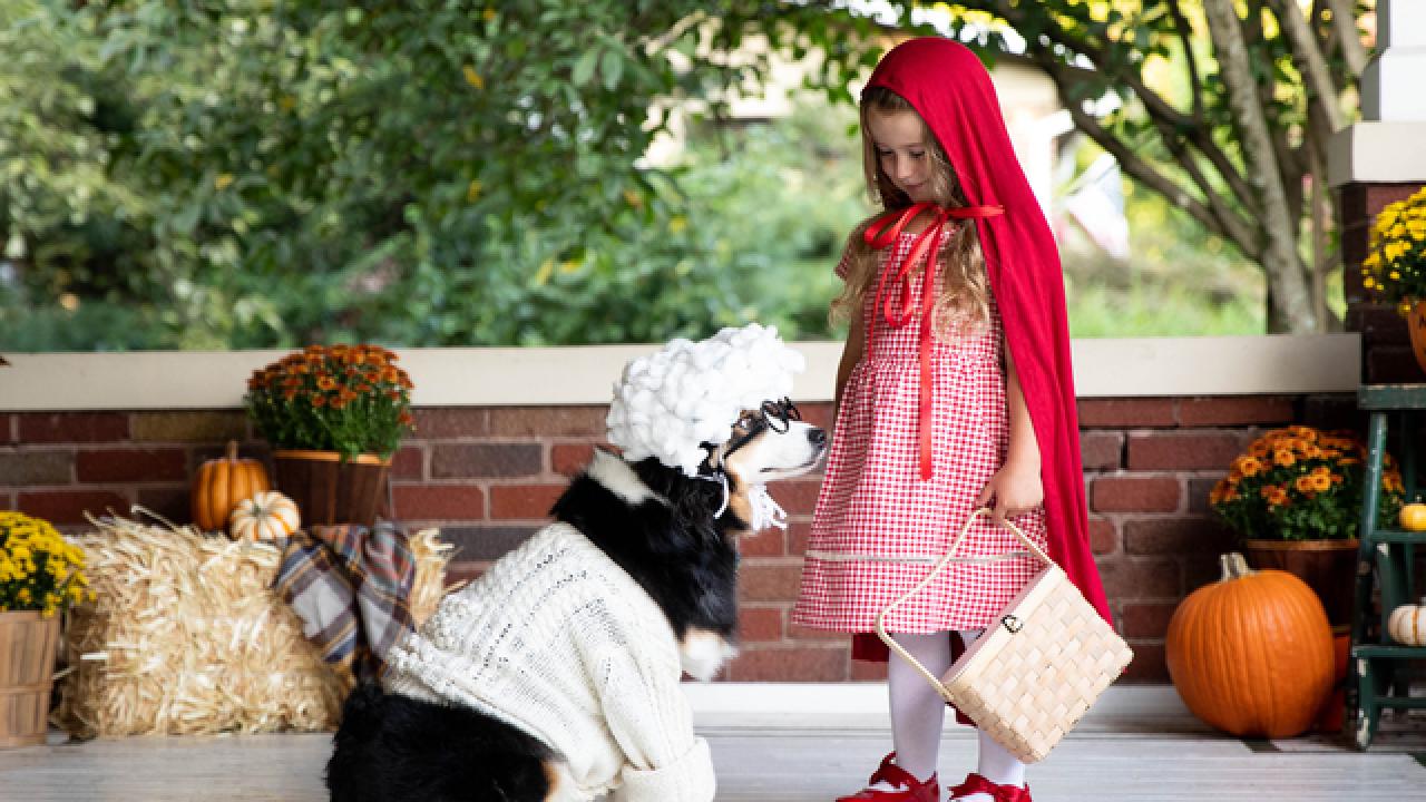 little red riding hood wolf costume kids