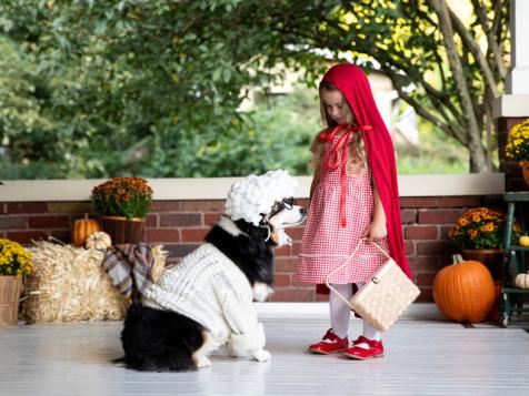 Halloween Costume for Child and Dog