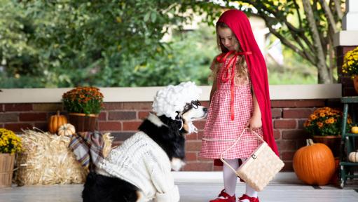 DIY Little Red Riding Hood and Big Bad Wolf Costume for a Girl and