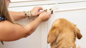 How To Puppy-Proof Your Home