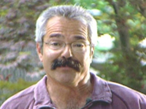 Brilliant How To Get Rid Of Bamboo In Yard