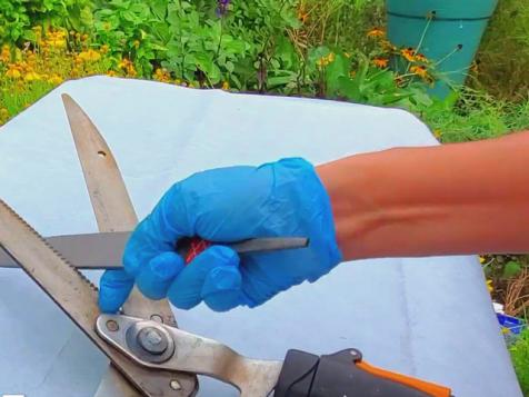 How to Refresh Garden Tools