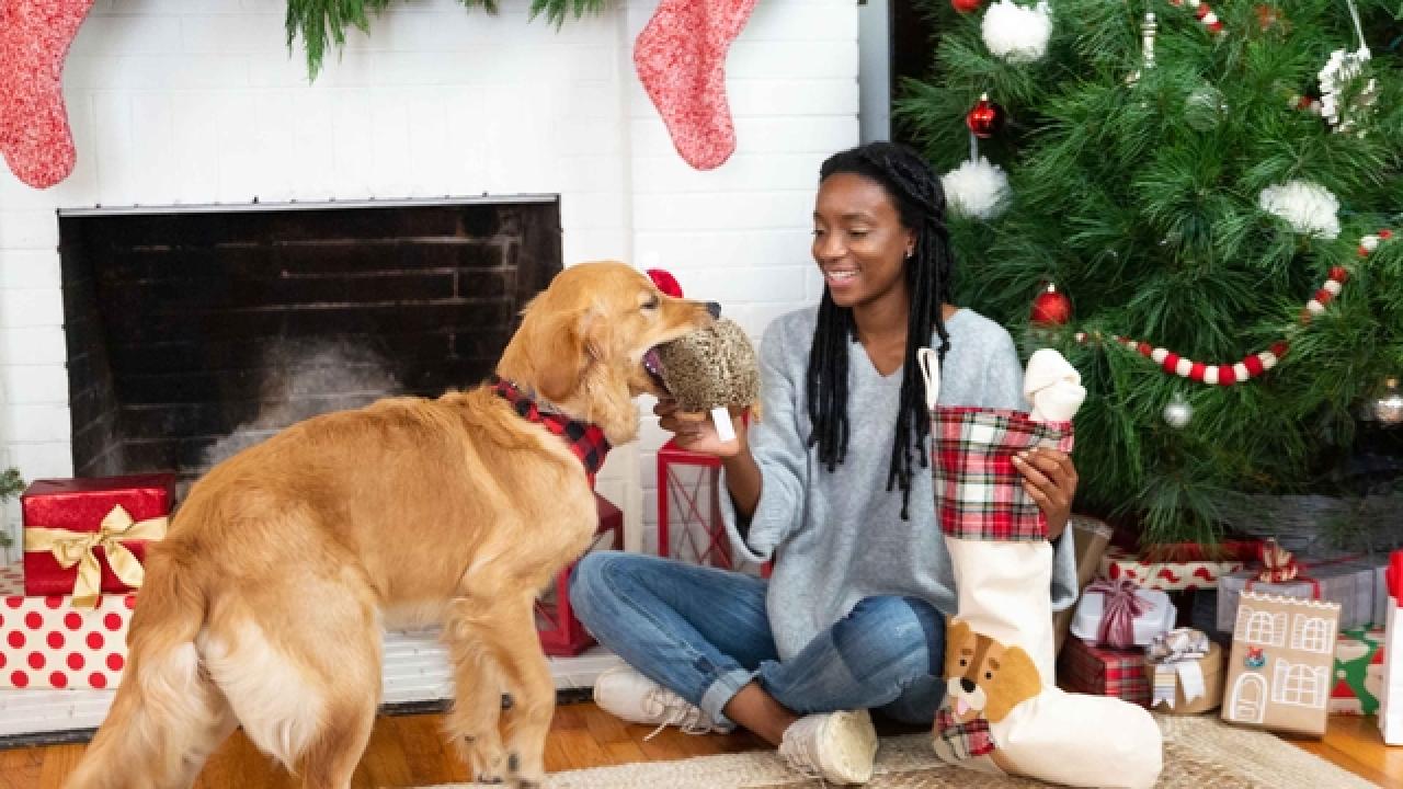 No-Sew Dog Stocking