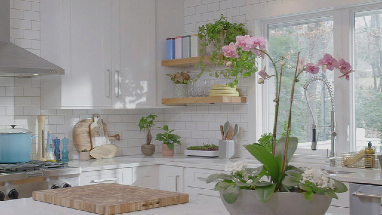 How to Create a Plant-Friendly Kitchen