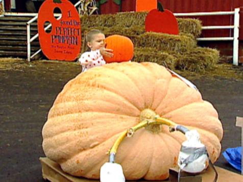 Giant Pumpkins