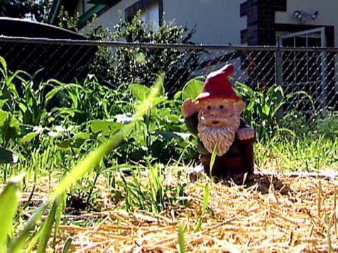 Celebrating Garden Gnomes and their History