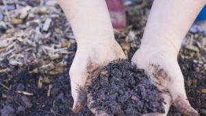 How to Harden Off Your Seedlings + The Best Soil for Veggie Gardens