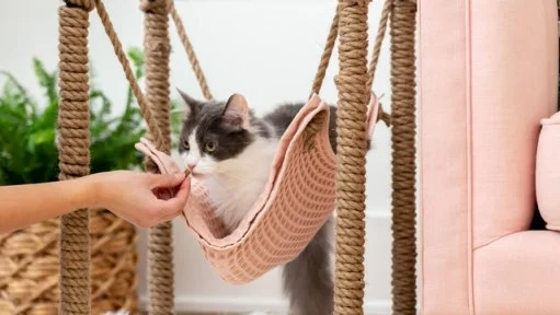 Diy cat hammock wall best sale