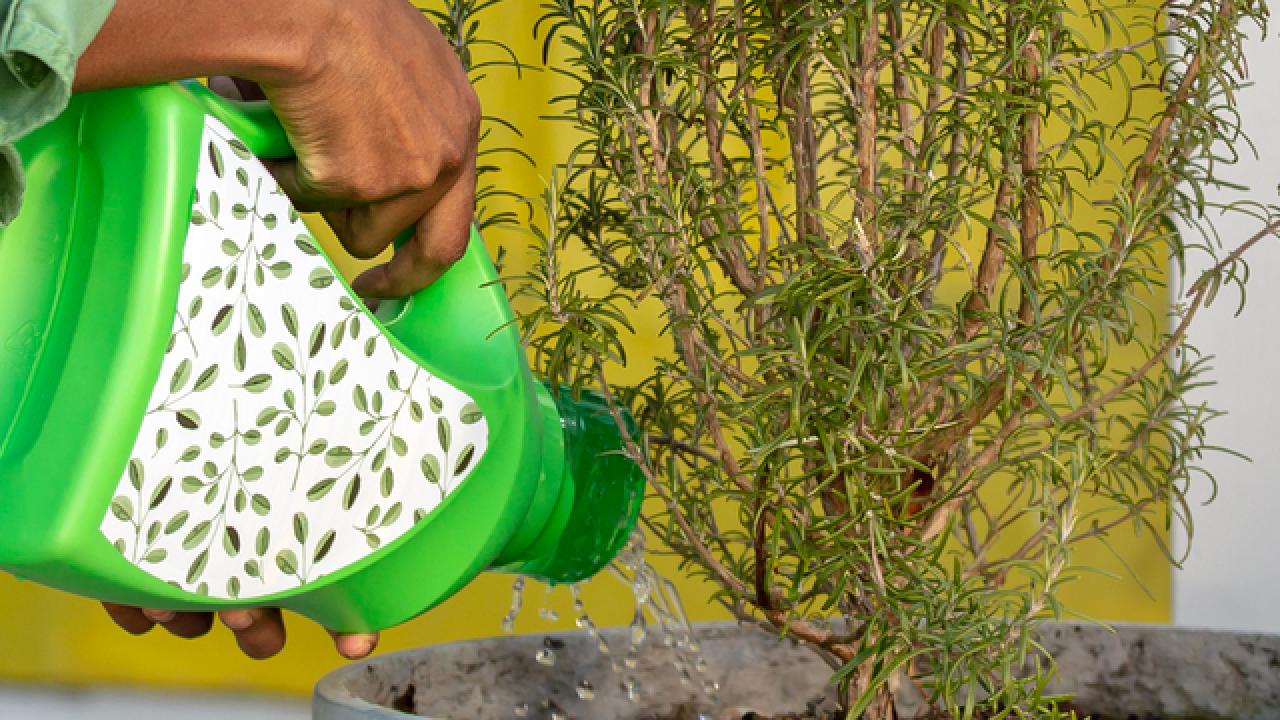 Upcycling Detergent Bottles