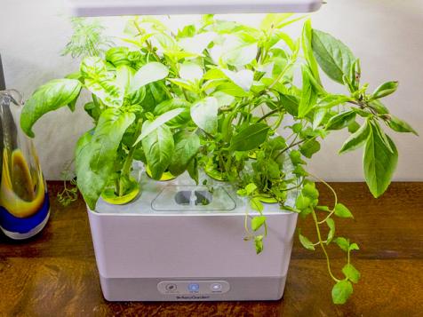 3 Easy Kits for Gardening Indoors