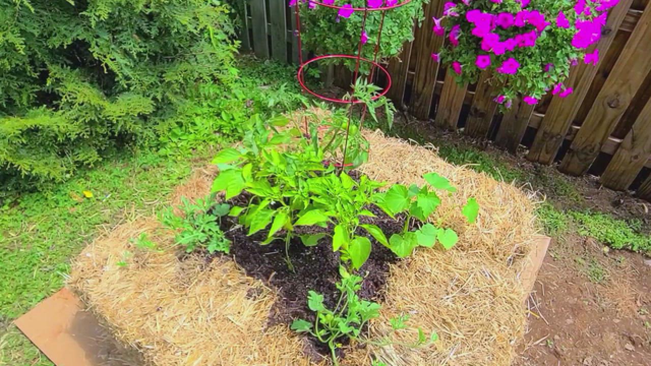 Straw Bale Gardening