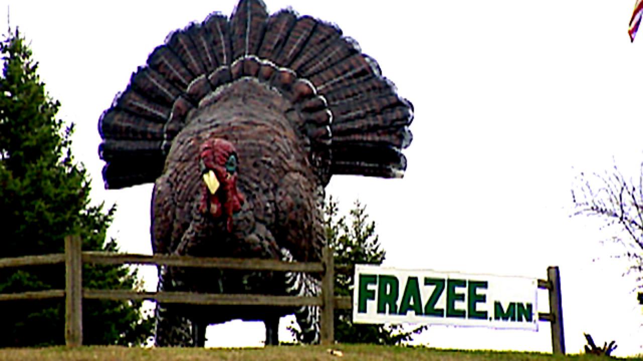 Quirky Turkey in Frazee, MN